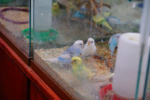 Pet Supply Store «Panhandle Pet Supply», reviews and photos, 3661 N Monroe St, Tallahassee, FL 32303, USA