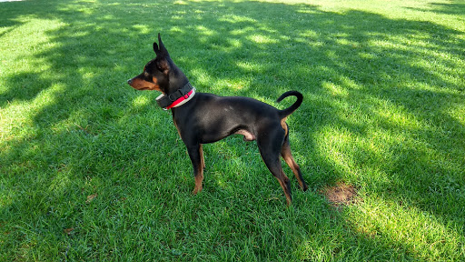 Centro Veterinario La Estrella en Ciudad Real