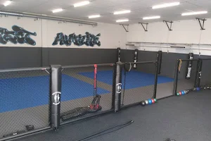 Fight & Co Academy image