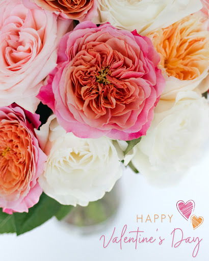 Gift Shop «In Bloom, Flowers and Gifts», reviews and photos, 1165 Old York Rd, Abington, PA 19001, USA