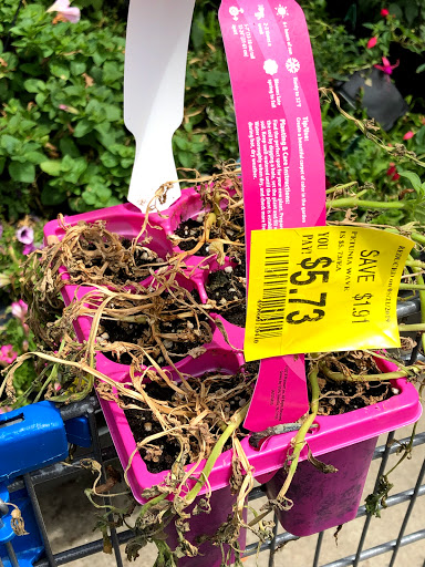 Discount Store «Walmart», reviews and photos, 1251 Centerville Rd, Wilmington, DE 19808, USA