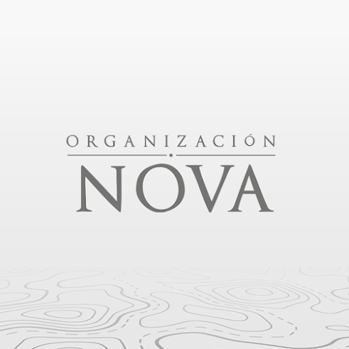 Opiniones de Organización Nova en Puerto Montt - Agencia inmobiliaria