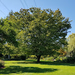 Photo n°3 de l'avis de Ulf.o fait le 08/09/2020 à 16:21 sur le  Landhaus Ettenbühl à Bad Bellingen