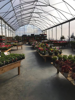 Vente à la Serre à Gisors