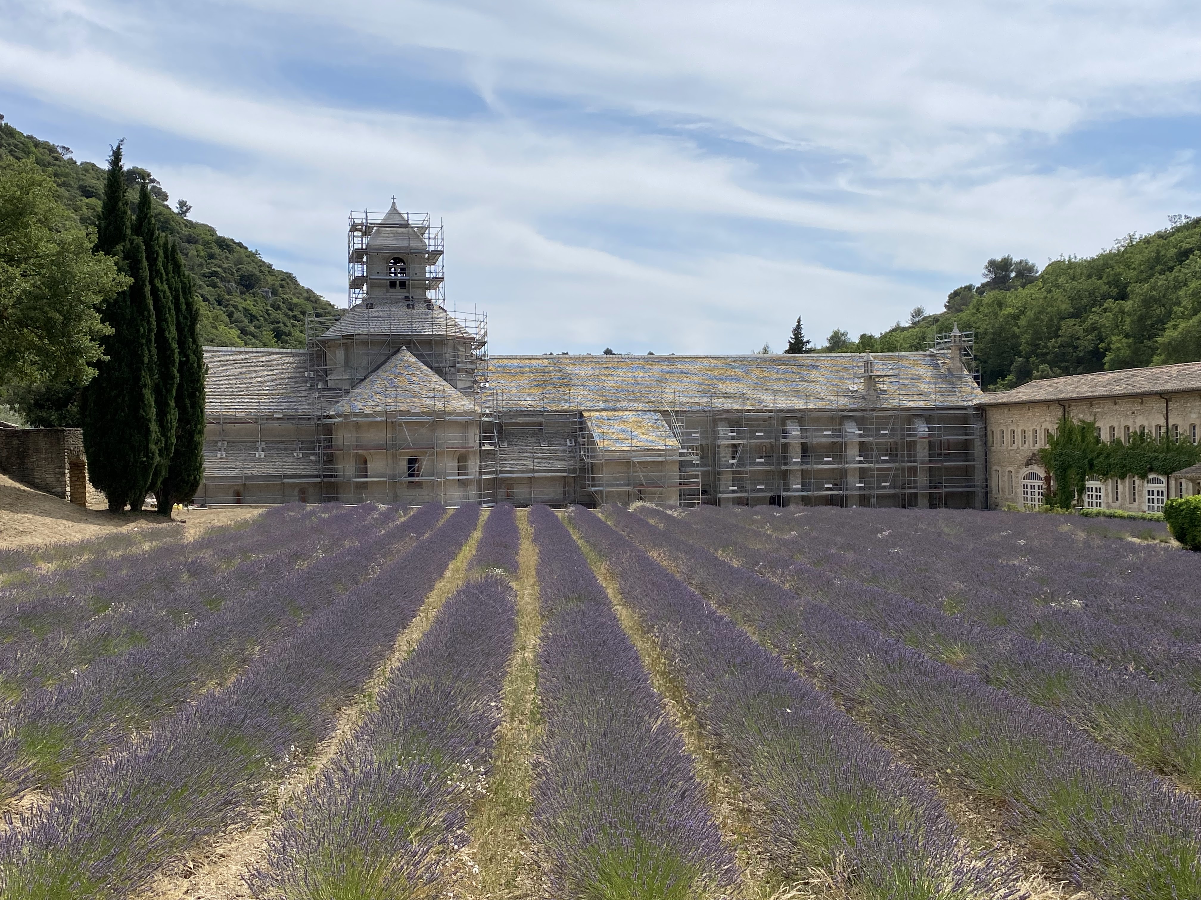 Photo n° 4 de l'avis de Jérémy.e fait le 25/07/2021 à 21:49