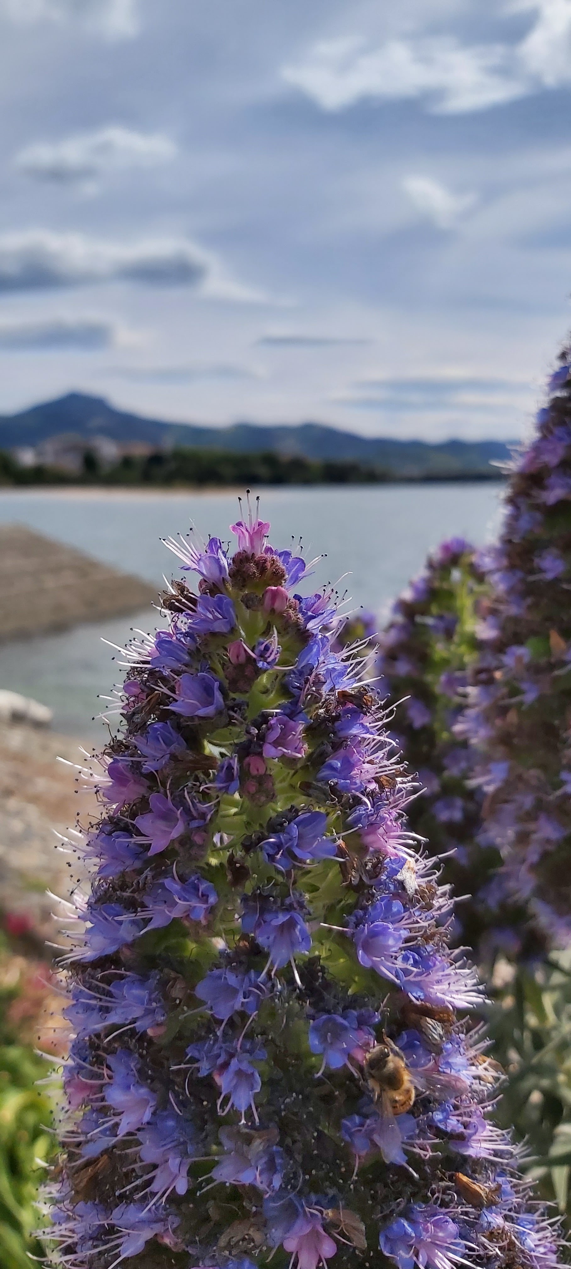 Photo n° 2 de l'avis de Marie.e fait le 24/04/2021 à 15:47