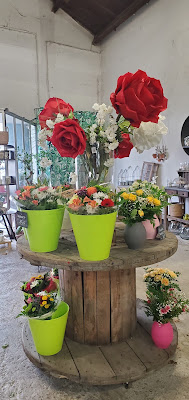 L'arum des fleurs à Plan-d'Orgon