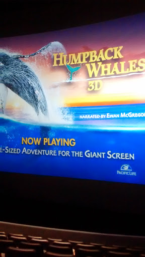 Imax Theater «World Golf Hall of Fame IMAX Theater», reviews and photos, 1 World Golf Pl, St Augustine, FL 32092, USA