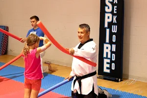 Aspire Taekwondo image