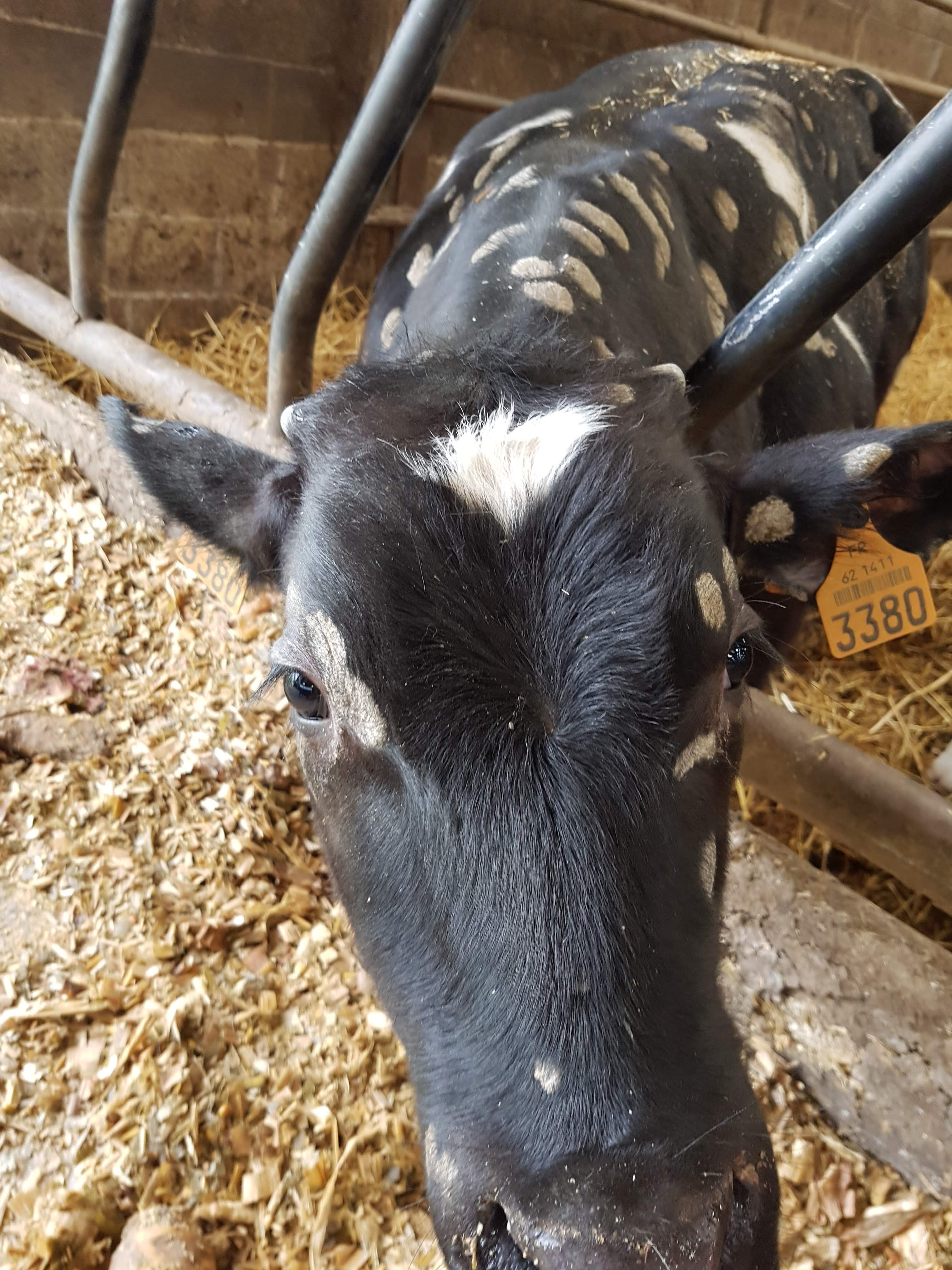 Photo n° 33 de l'avis de Alicia.P fait le 28/04/2019 à 13:27