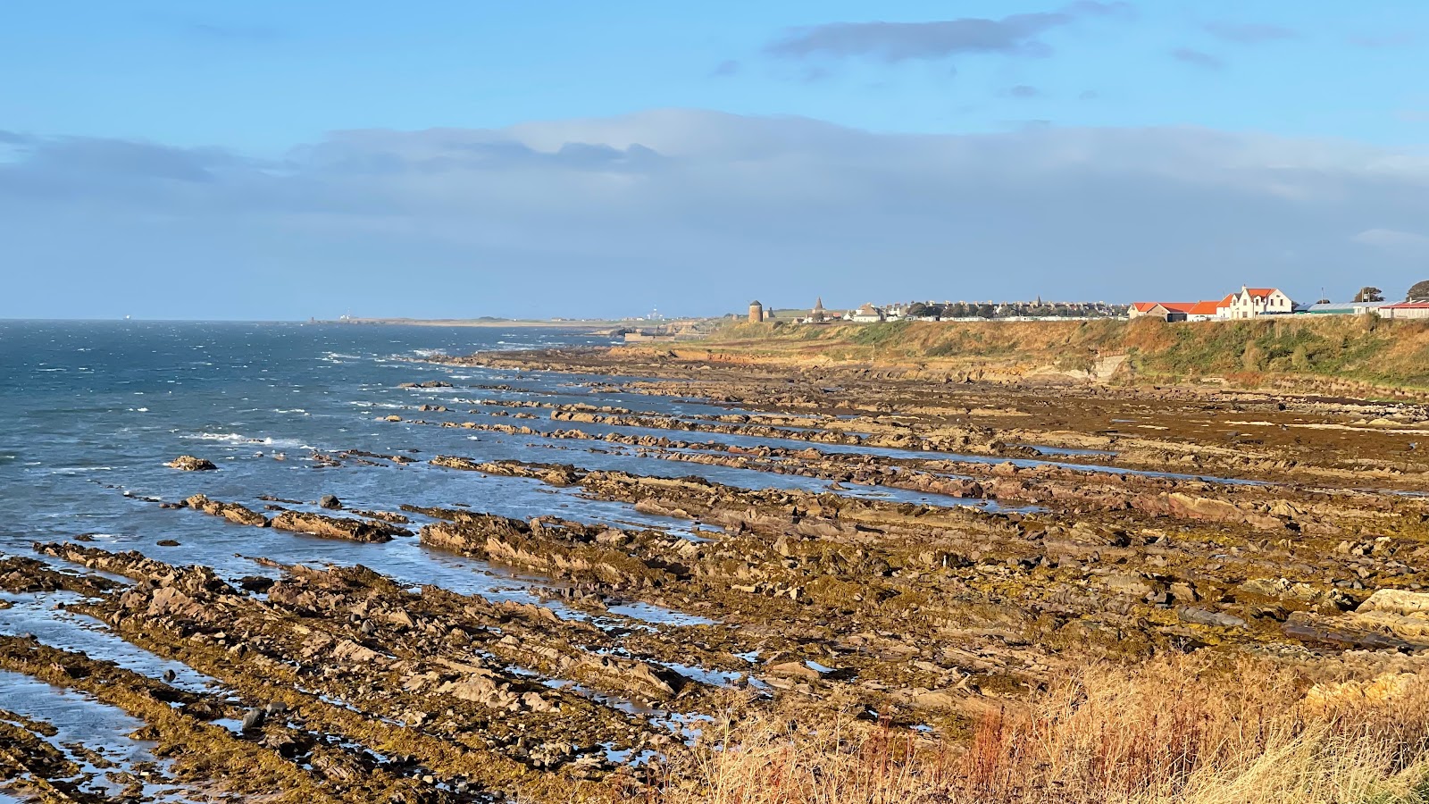 Foto di Pittenweem Tidal Pool Beach con molto pulito livello di pulizia