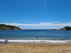 Foto de Blanche du Langoustier área selvagem