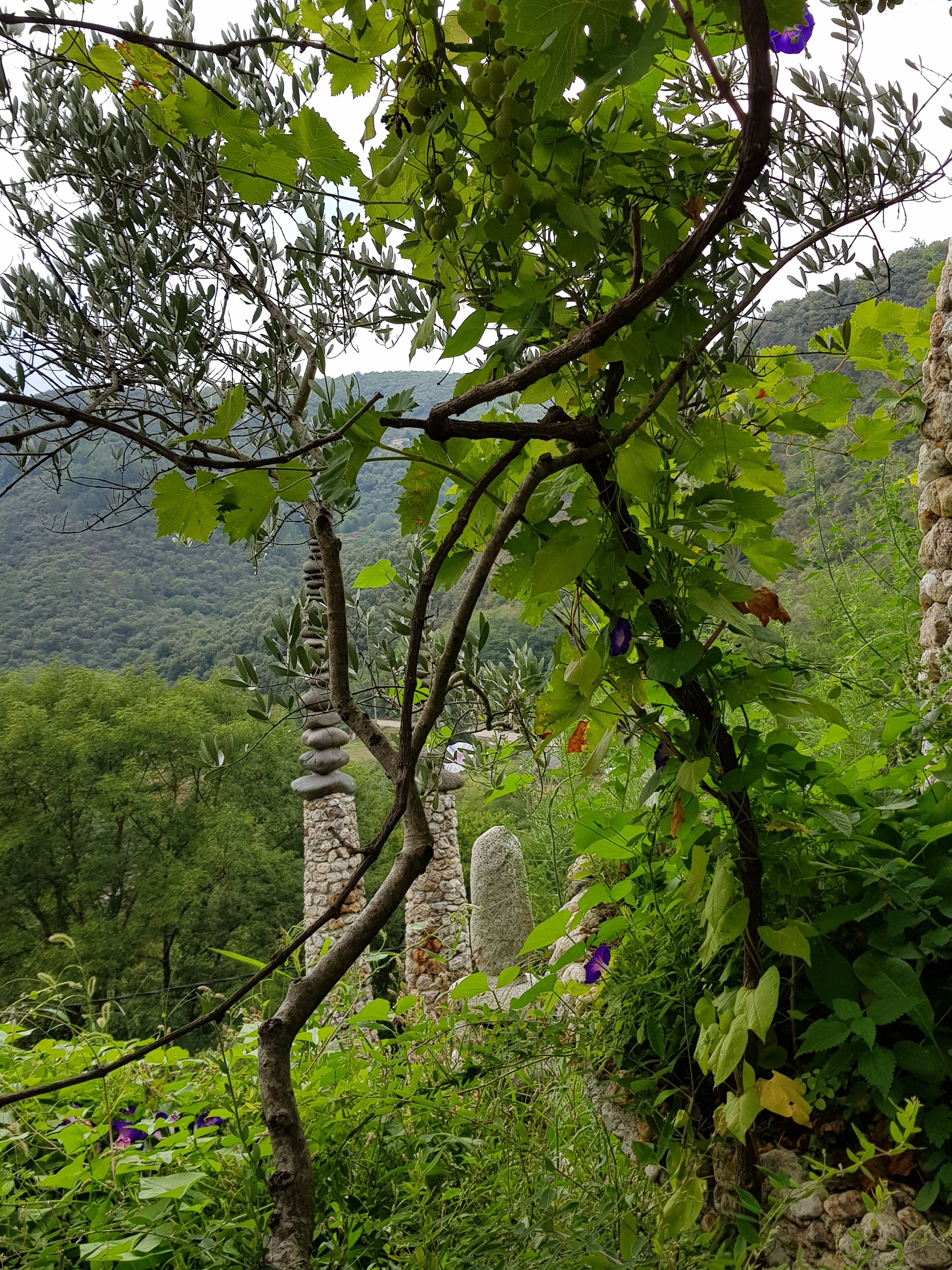 Photo n° 20 de l'avis de Dom.o fait le 02/09/2019 à 12:02