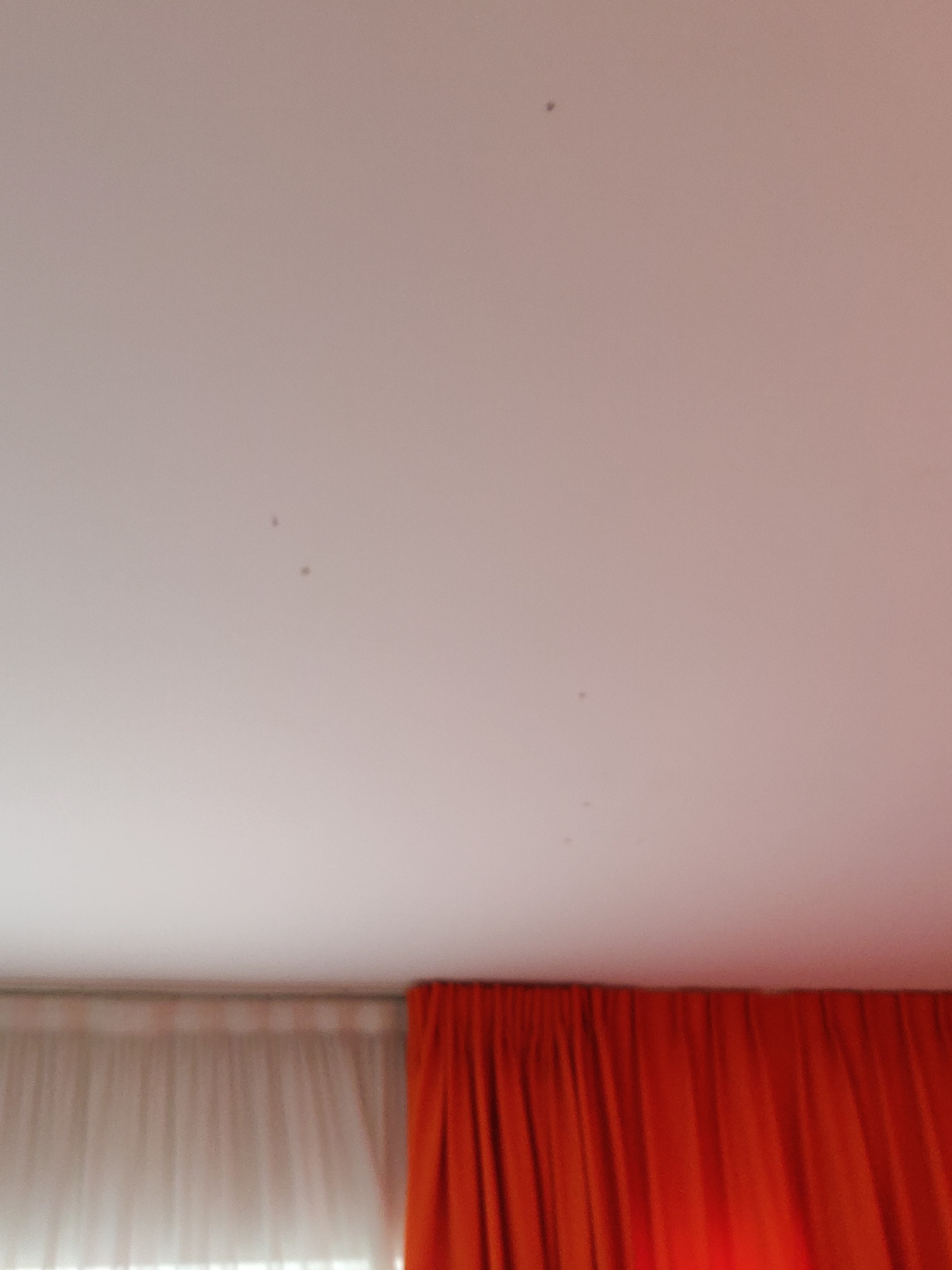 Photo n° 2 de l'avis de Abed.e fait le 21/07/2020 à 21:28