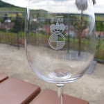 Photo n°4 de l'avis de Harald.d fait le 15/06/2020 à 14:19 sur le  Weingarten Castell à Castell