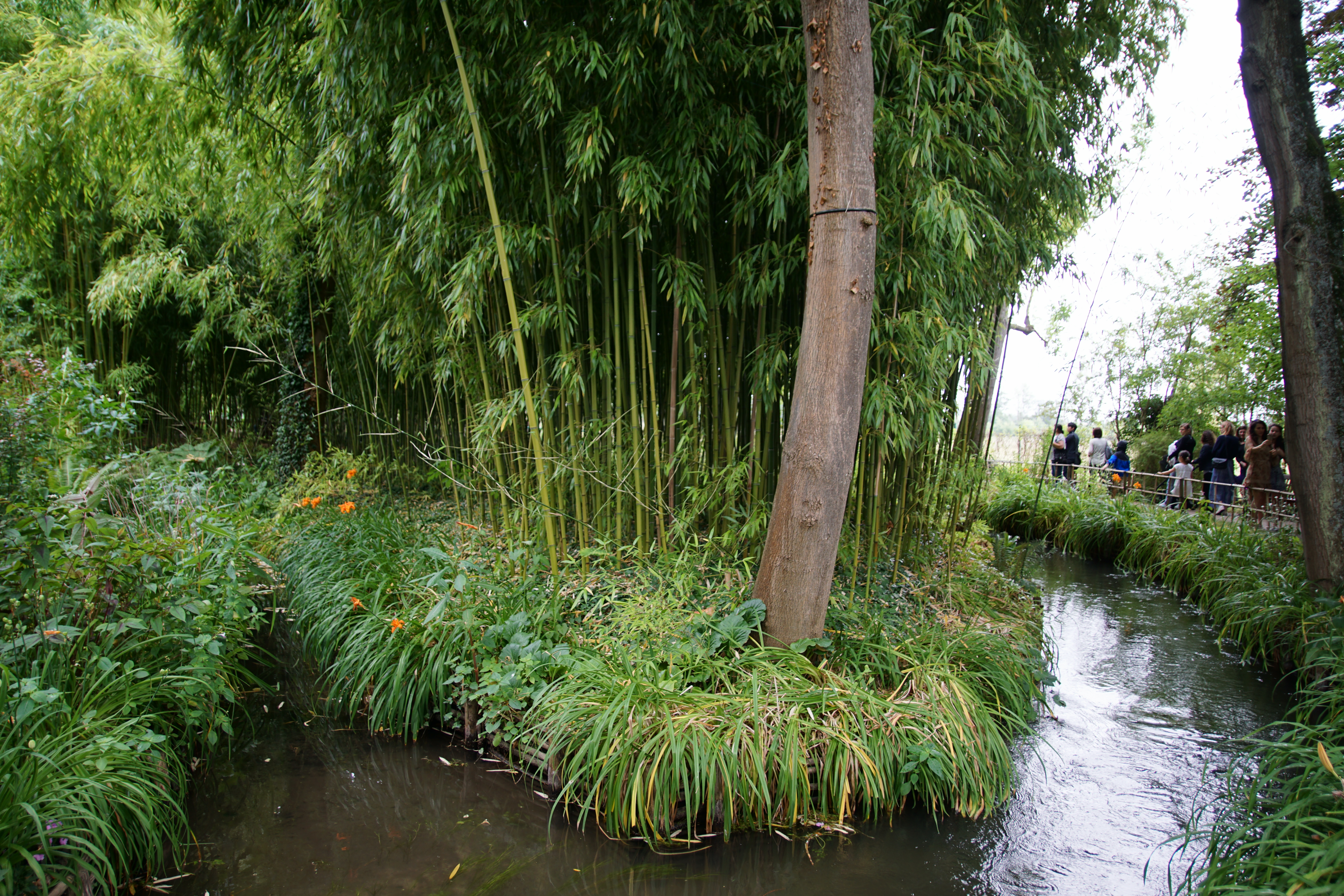 Photo n° 10 de l'avis de Alain.t fait le 01/02/2019 à 17:56