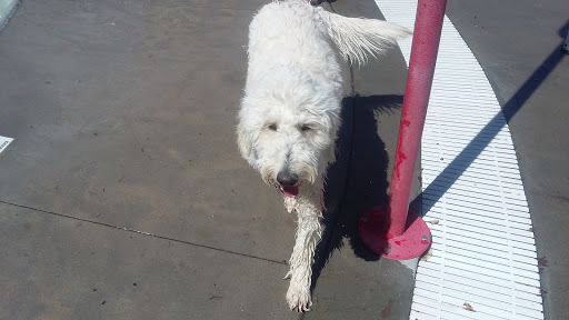 Water Park «Pirates Cove Family Fun Aquatic Center», reviews and photos, 1225 W Belleview Ave, Littleton, CO 80120, USA