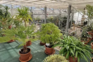 Salaspils Botanical Garden conservatory image