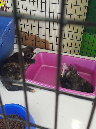 Pet Supply Store «Pet Supermarket», reviews and photos, 2696 N University Dr, Sunrise, FL 33322, USA