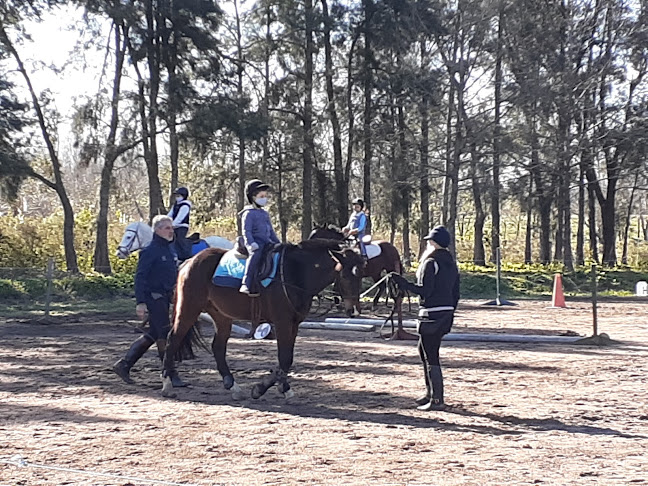 Actividades Y Terapias Con Animales CATAAMI - Canelones