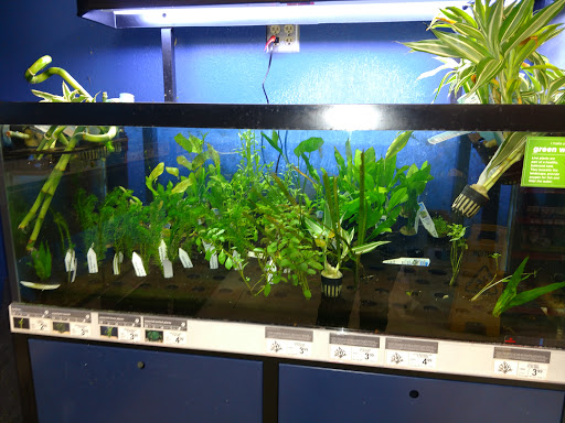 Pet Supply Store «Petco Animal Supplies», reviews and photos, 3380 124th Ave NW, Coon Rapids, MN 55433, USA