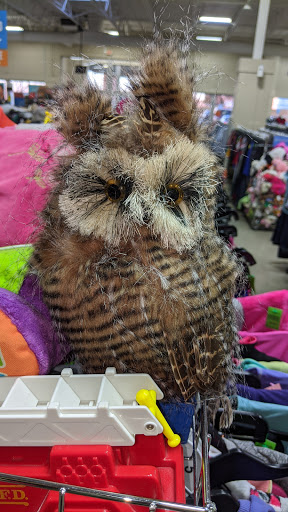 Thrift Store «Goodwill Store & Donation Center», reviews and photos