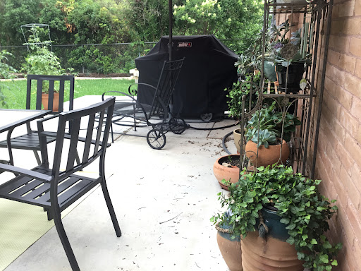 Pest Control Service «ABC Home & Commercial Services», reviews and photos