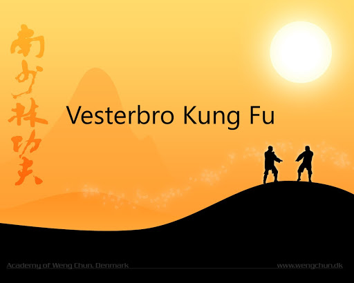 Vesterbro Kung Fu