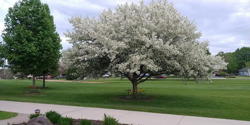 Golf Course «Twin Lakes Country Club», reviews and photos, 1230 Legion Dr, Twin Lakes, WI 53181, USA