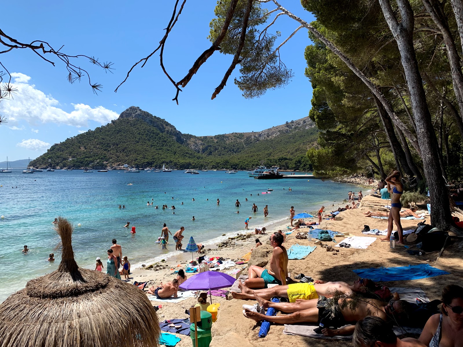 Platja de Formentor photo #9