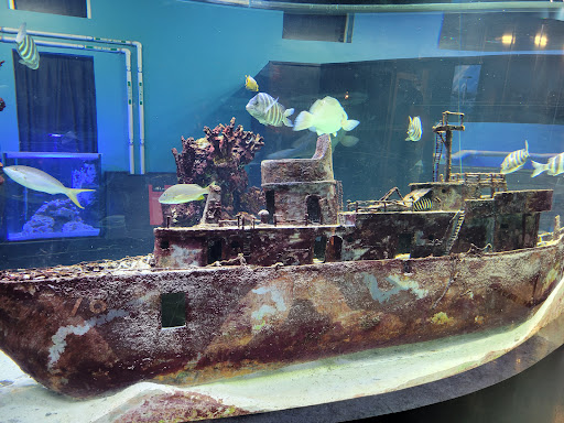 Tourist Attraction «IMAG History & Science Center (formerly Imaginarium Science Center)», reviews and photos, 2000 Cranford Ave, Fort Myers, FL 33916, USA