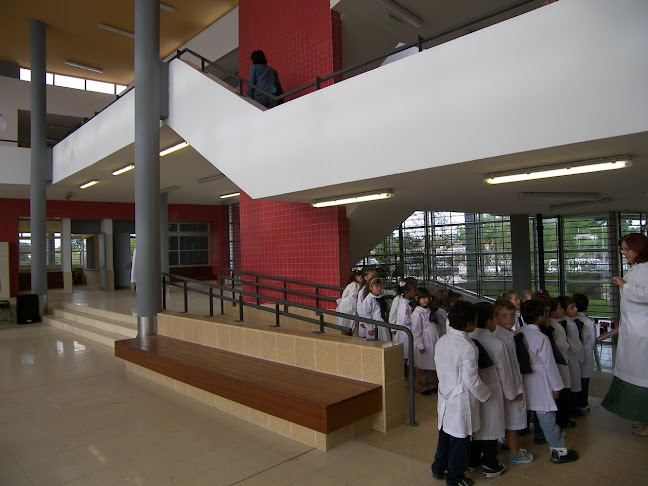 Escuela Primaria N°330 - Escuela