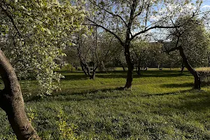 Apple Tree Garden image