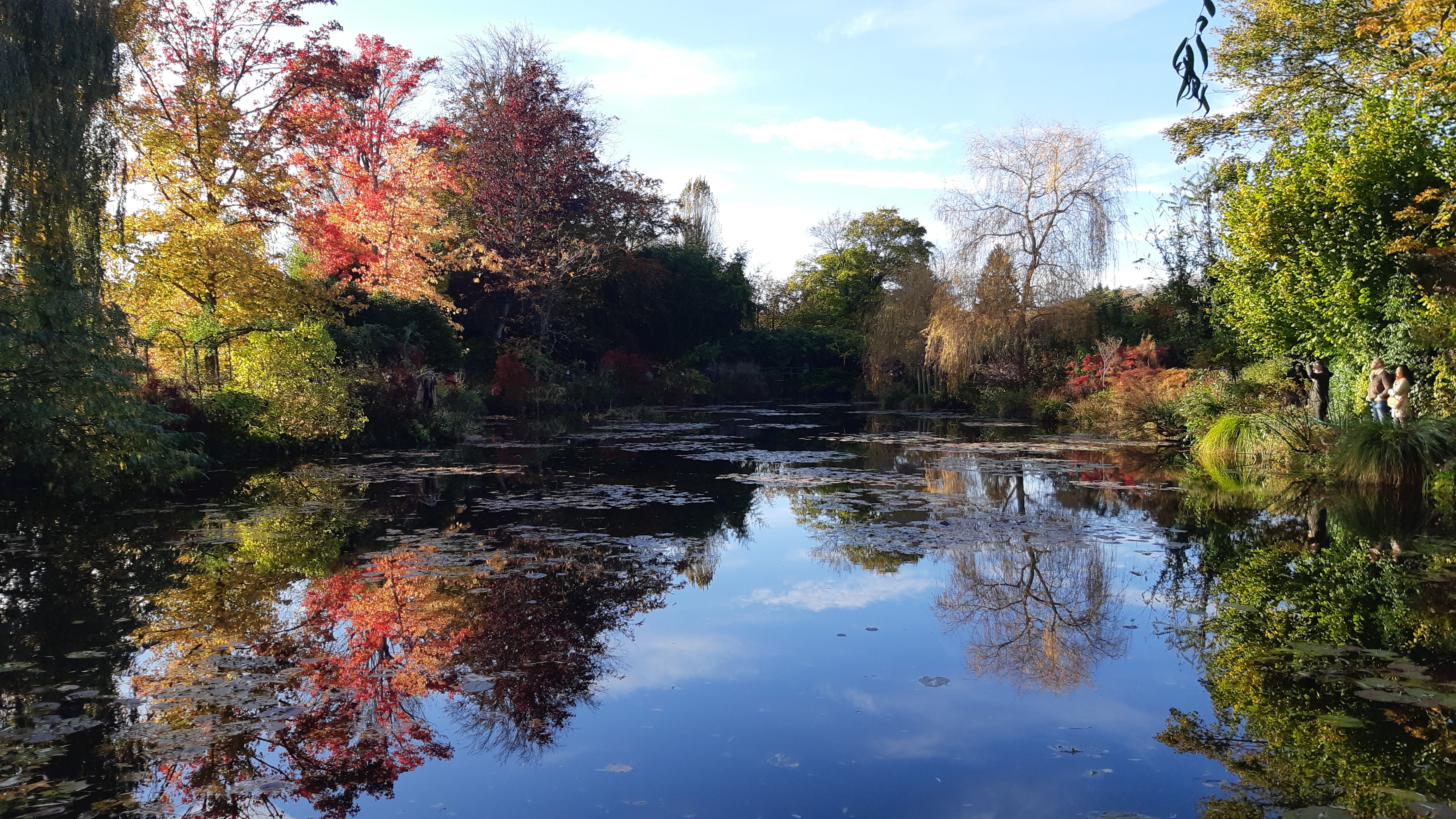 Photo n° 7 de l'avis de Jeanine.i fait le 02/11/2021 à 13:30