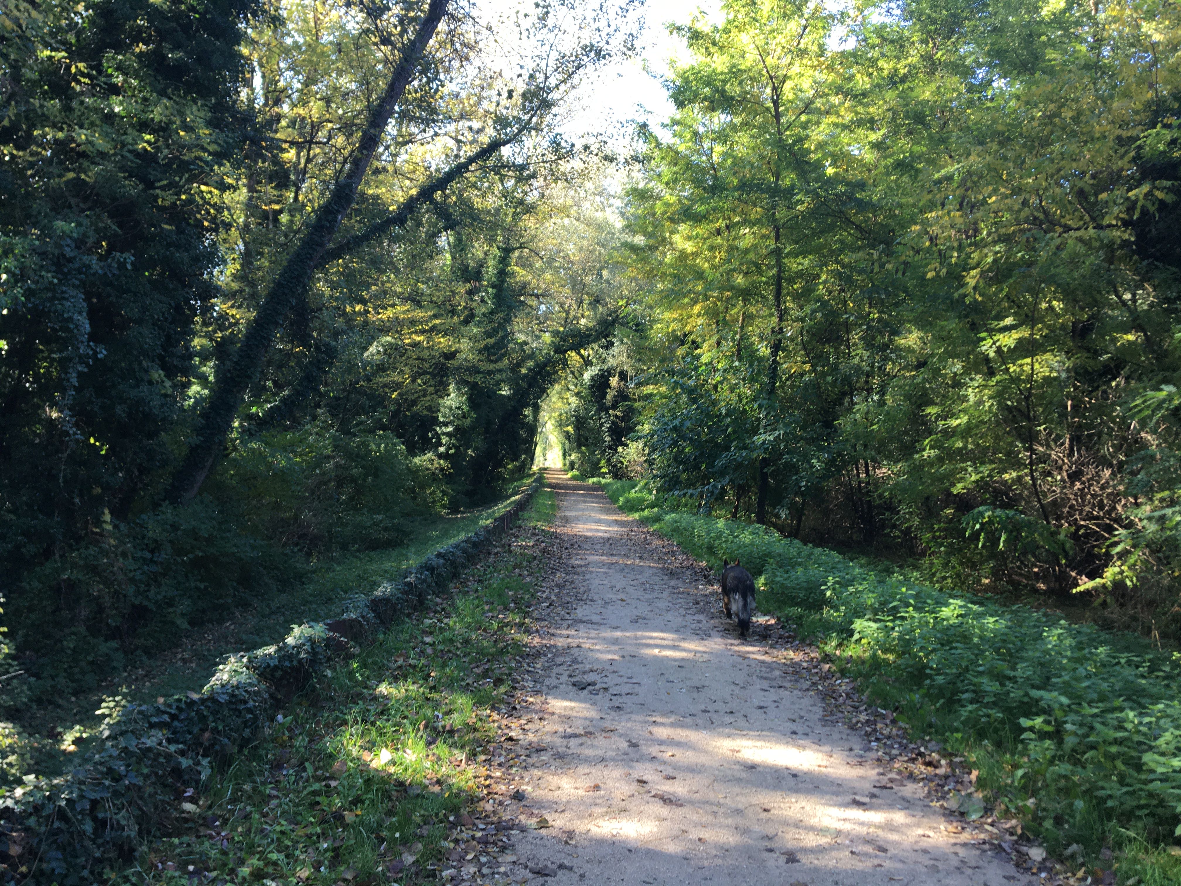 Photo n° 2 de l'avis de Jean-Paul.h fait le 23/10/2021 à 10:24