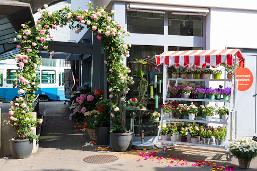Valse des Roses - Roses and Orchids Store (Zurich)