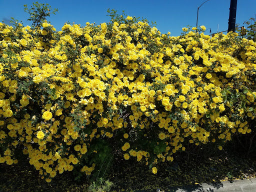 Natural Foods Store «Natural Grocers», reviews and photos, 100 W South Boulder Rd, Lafayette, CO 80026, USA