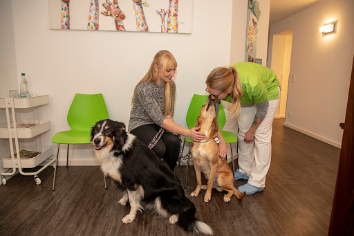 Tierarzt Praxis für Augenheilkunde Frau Dr. med. Anna Webel unter Theisseil, Bayern
