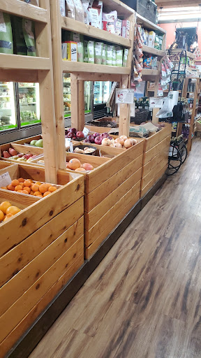 Health Food Store «Amish Healthy Foods», reviews and photos, 1025 N Western Ave, Chicago, IL 60622, USA