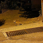 Photo n°1 de l'avis de maghians. fait le 01/09/2023 à 13:58 sur le  Osteria del Valico à Erbonne