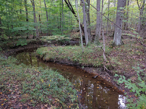 Waterman Conservation Education Center image 8