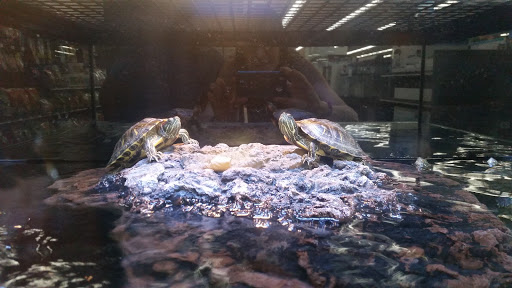 Pet Supply Store «Petco Animal Supplies», reviews and photos, 852 N Western Ave, San Pedro, CA 90732, USA