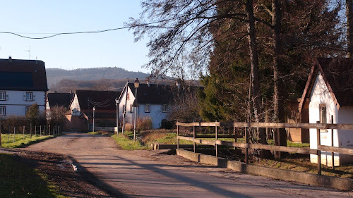Ferme Équestre Werly à Drachenbronn-Birlenbach