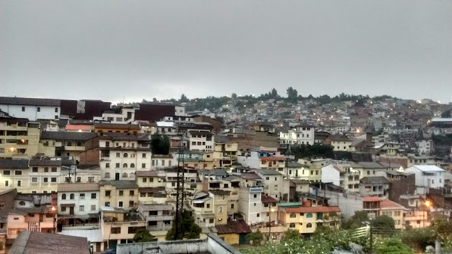 Opiniones de Quito Sur en Quito - Servicio de transporte