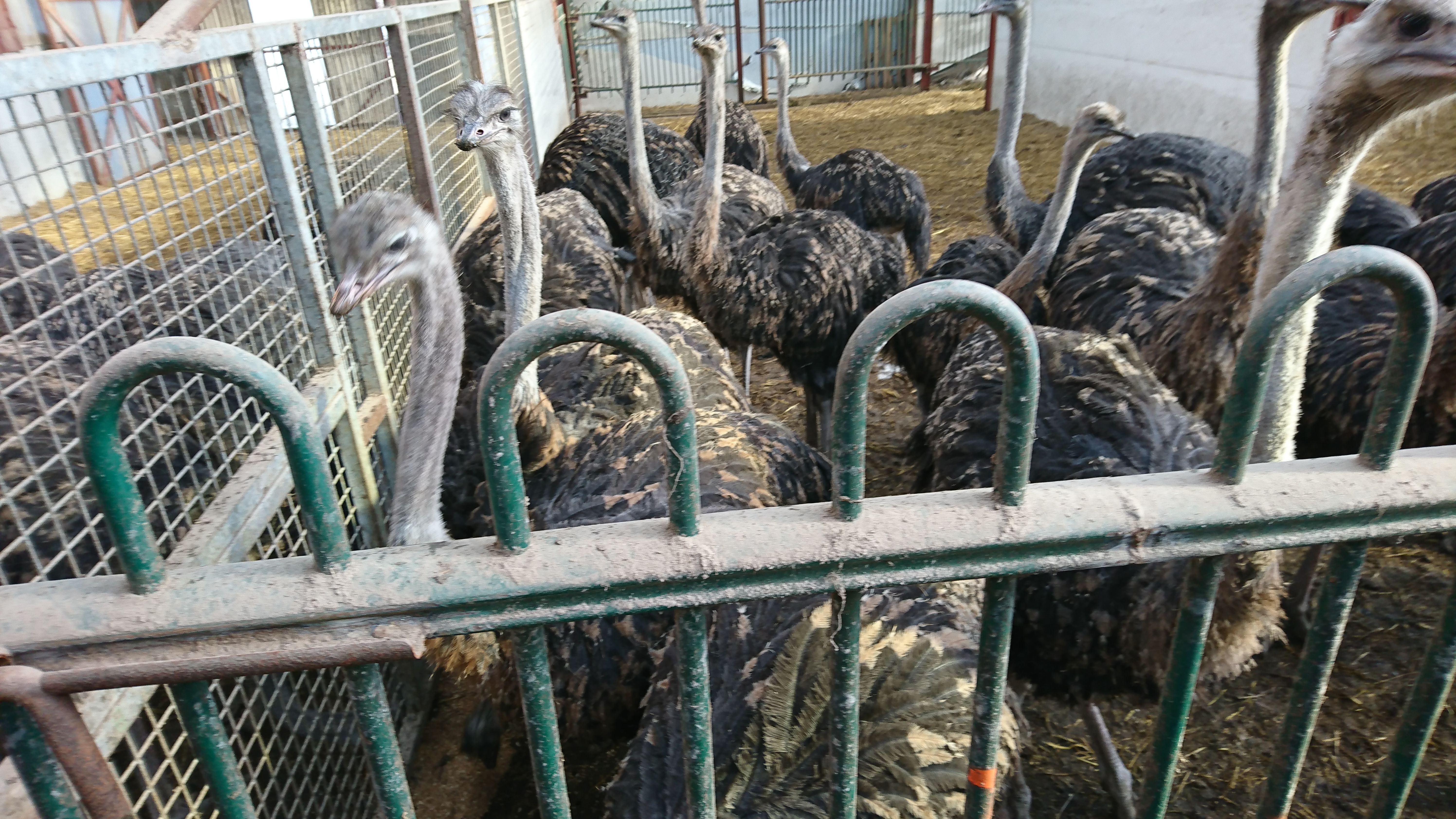 Photo n° 8 de l'avis de Lucienne.C fait le 26/02/2019 à 15:48