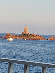 Photo n°35 de Récif à Saint-Raphaël ()