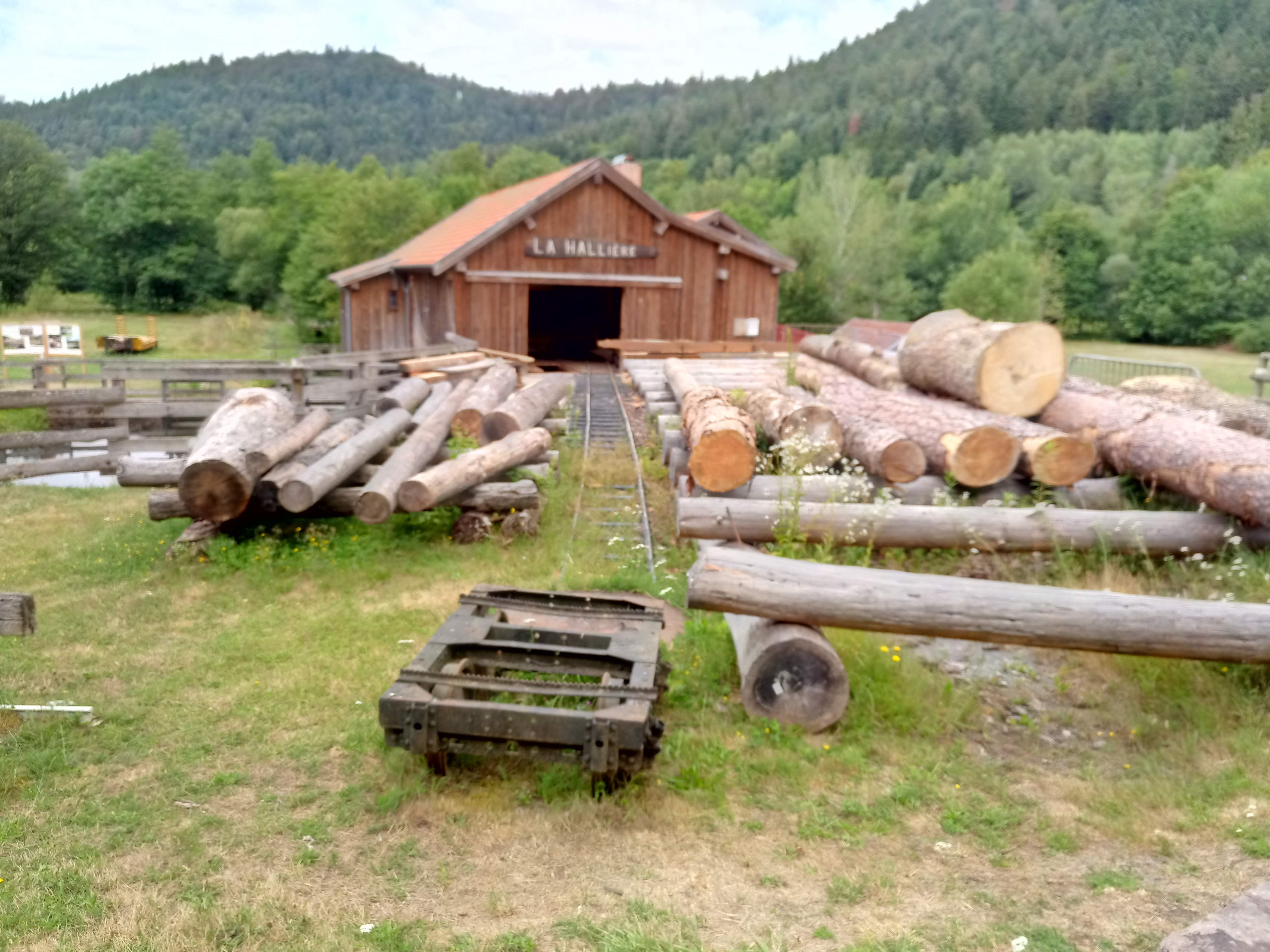 Photo n° 1 de l'avis de bulledigne. fait le 05/08/2019 à 20:08