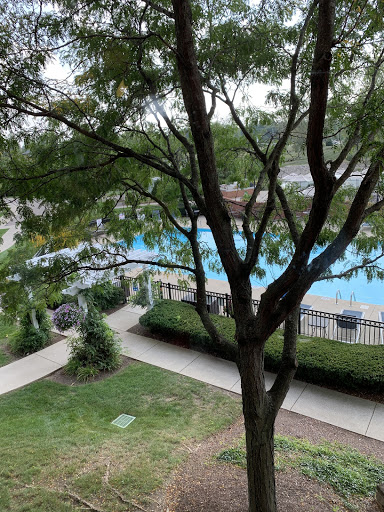 Hotel «Nationwide Hotel & Conference Center», reviews and photos, 100 Green Meadows Dr S, Lewis Center, OH 43035, USA