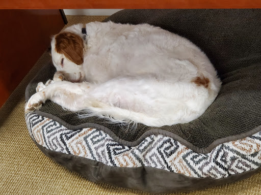 Pet Supply Store «PetSmart», reviews and photos, 316 NE 78th St, Vancouver, WA 98665, USA