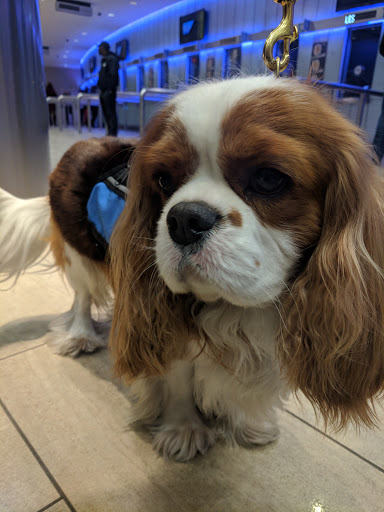 Arena «Madison Square Garden», reviews and photos, 4 Pennsylvania Plaza, New York, NY 10001, USA